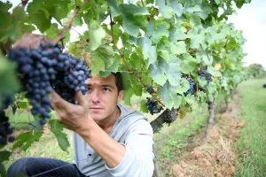 Quand le béton se fait l’allié du vin ©Thinkstock