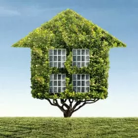 iStock 1267060219